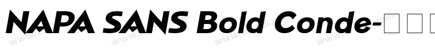 NAPA SANS Bold Conde字体转换